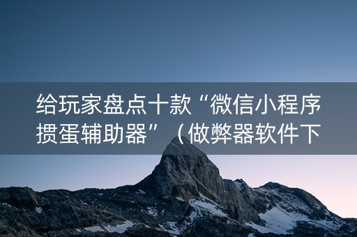 给玩家盘点十款“微信小程序掼蛋辅助器”（做弊器软件下载)