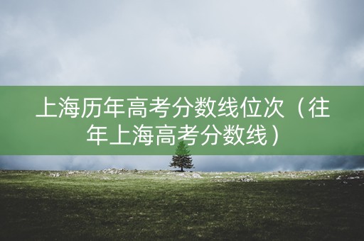 上海历年高考分数线位次（往年上海高考分数线）
