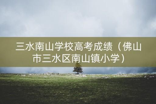 三水南山学校高考成绩（佛山市三水区南山镇小学）
