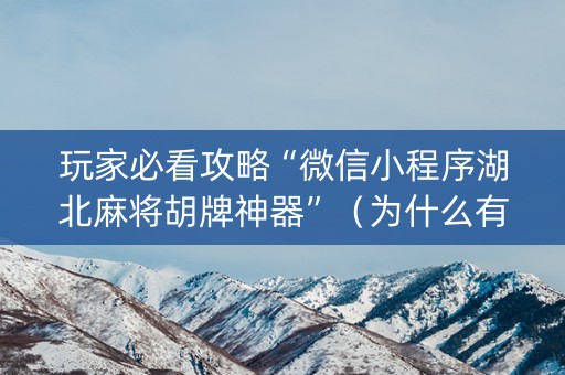 玩家必看攻略“微信小程序湖北麻将胡牌神器”（为什么有人一直赢)