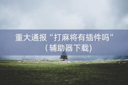 重大通报“打麻将有插件吗”（辅助器下载)