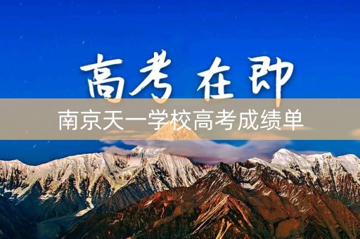 南京天一学校高考成绩单