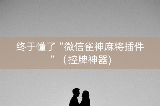 终于懂了“微信雀神麻将插件”（控牌神器)