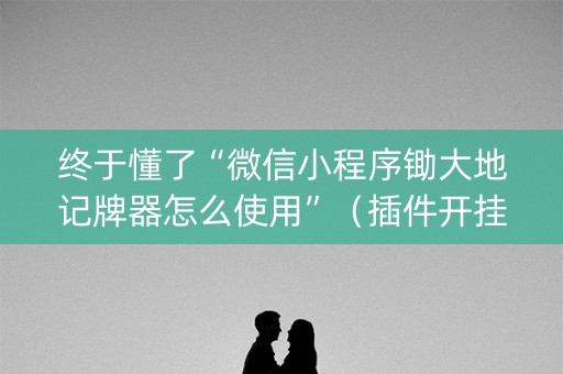 终于懂了“微信小程序锄大地记牌器怎么使用”（插件开挂免费AI)
