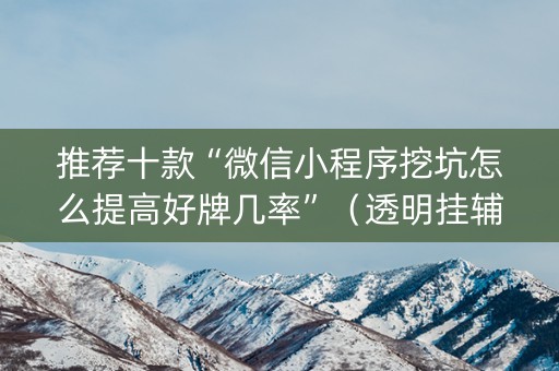 推荐十款“微信小程序挖坑怎么提高好牌几率”（透明挂辅助器)