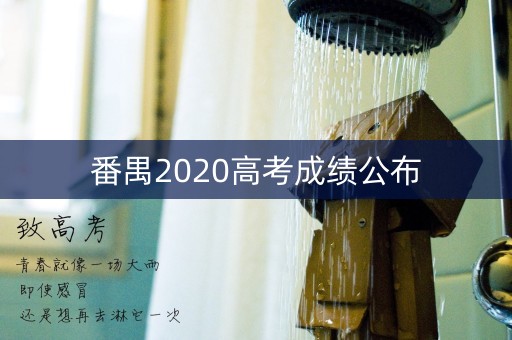 番禺2020高考成绩公布