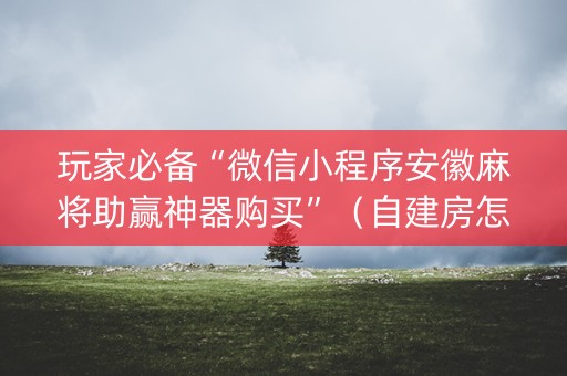 玩家必备“微信小程序安徽麻将助赢神器购买”（自建房怎么赢)