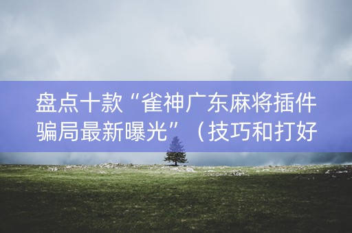 盘点十款“雀神广东麻将插件骗局最新曝光”（技巧和打好牌方法)