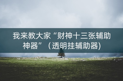我来教大家“财神十三张辅助神器”（透明挂辅助器)