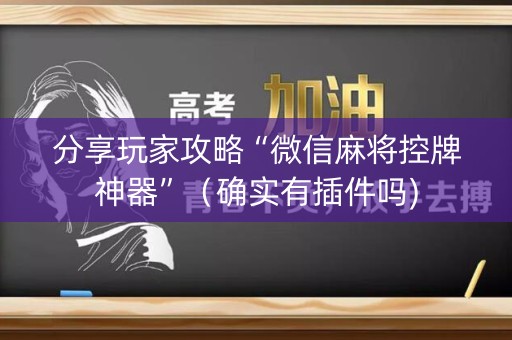 分享玩家攻略“微信麻将控牌神器”（确实有插件吗)