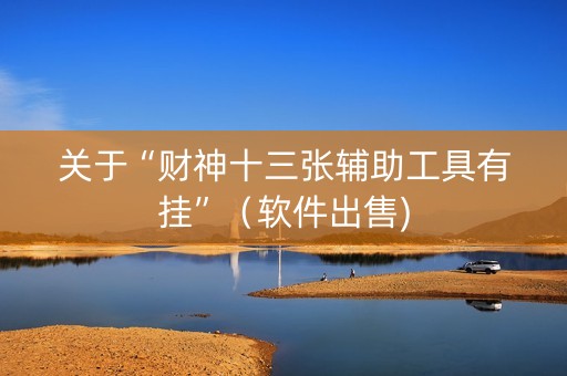 关于“财神十三张辅助工具有挂”（软件出售)