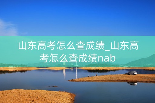 山东高考怎么查成绩_山东高考怎么查成绩nab