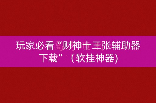 玩家必看“财神十三张辅助器下载”（软挂神器)