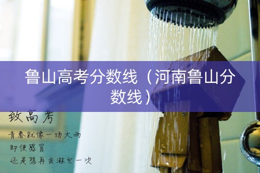 鲁山高考分数线（河南鲁山分数线）