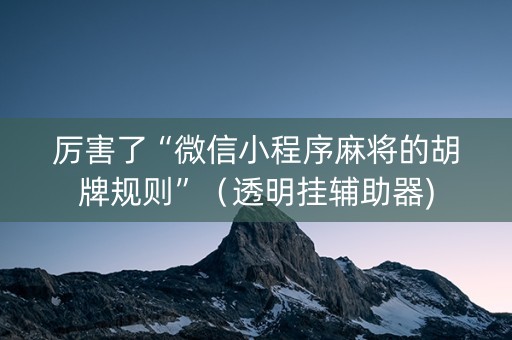 厉害了“微信小程序麻将的胡牌规则”（透明挂辅助器)