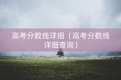 高考分数线详细（高考分数线详细查询）