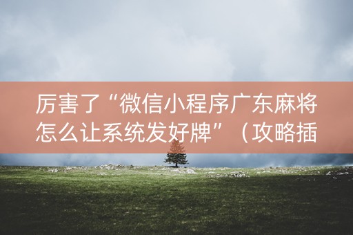 厉害了“微信小程序广东麻将怎么让系统发好牌”（攻略插件)