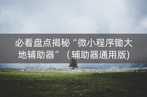 必看盘点揭秘“微小程序锄大地辅助器”（辅助器通用版)