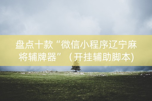 盘点十款“微信小程序辽宁麻将辅牌器”（开挂辅助脚本)