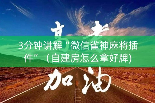 3分钟讲解“微信雀神麻将插件”（自建房怎么拿好牌)