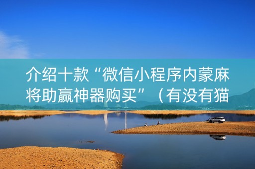 介绍十款“微信小程序内蒙麻将助赢神器购买”（有没有猫腻)