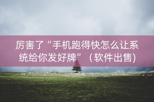 厉害了“手机跑得快怎么让系统给你发好牌”（软件出售)