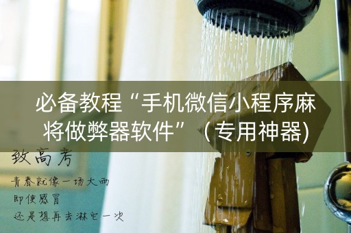 必备教程“手机微信小程序麻将做弊器软件”（专用神器)
