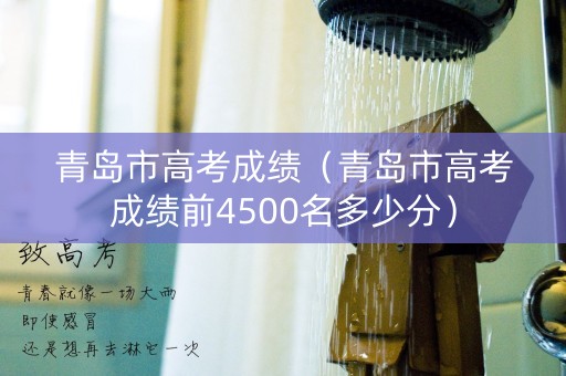 青岛市高考成绩（青岛市高考成绩前4500名多少分）