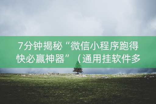 7分钟揭秘“微信小程序跑得快必赢神器”（通用挂软件多少钱)