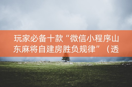 玩家必备十款“微信小程序山东麻将自建房胜负规律”（透明挂辅助器)