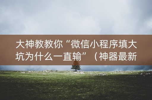 大神教教你“微信小程序填大坑为什么一直输”（神器最新免费)