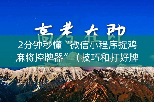 2分钟秒懂“微信小程序捉鸡麻将控牌器”（技巧和打好牌方法)