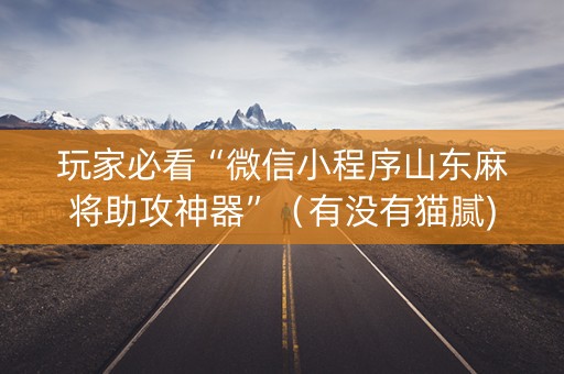 玩家必看“微信小程序山东麻将助攻神器”（有没有猫腻)