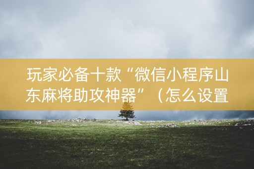 玩家必备十款“微信小程序山东麻将助攻神器”（怎么设置才能赢)