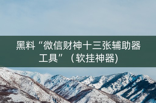 黑料“微信财神十三张辅助器工具”（软挂神器)