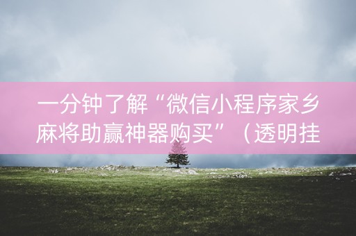 一分钟了解“微信小程序家乡麻将助赢神器购买”（透明挂辅助器)