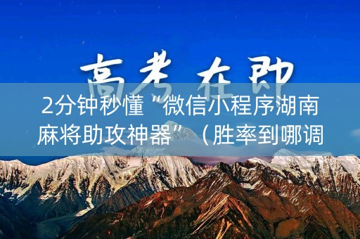 2分钟秒懂“微信小程序湖南麻将助攻神器”（胜率到哪调)