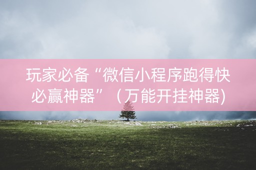 玩家必备“微信小程序跑得快必赢神器”（万能开挂神器)