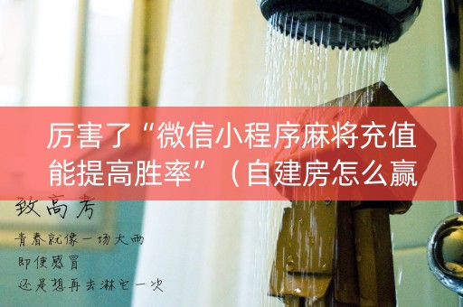 厉害了“微信小程序麻将充值能提高胜率”（自建房怎么赢)