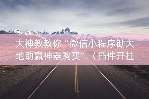 大神教教你“微信小程序锄大地助赢神器购买”（插件开挂免费AI)