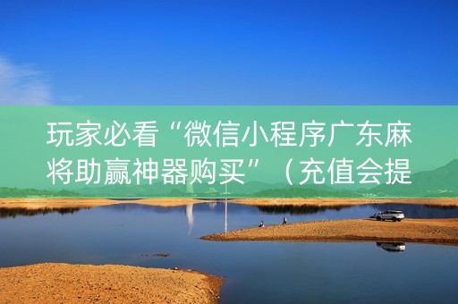 玩家必看“微信小程序广东麻将助赢神器购买”（充值会提高胜率么)