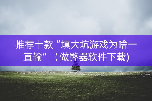推荐十款“填大坑游戏为啥一直输”（做弊器软件下载)