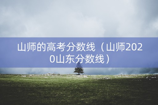 山师的高考分数线（山师2020山东分数线）