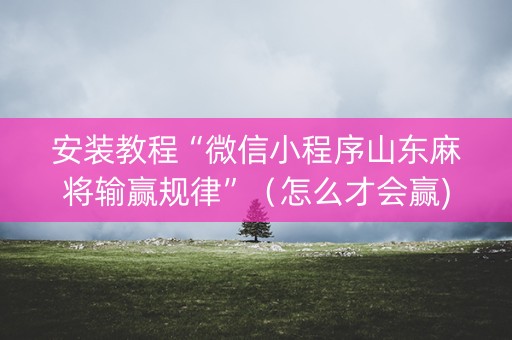 安装教程“微信小程序山东麻将输赢规律”（怎么才会赢)