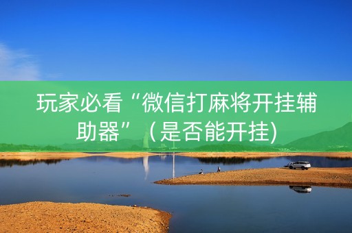 玩家必看“微信打麻将开挂辅助器”（是否能开挂)