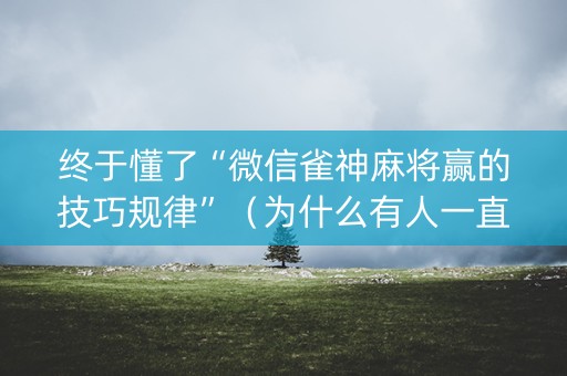 终于懂了“微信雀神麻将赢的技巧规律”（为什么有人一直赢)