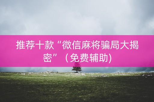 推荐十款“微信麻将骗局大揭密”（免费辅助)