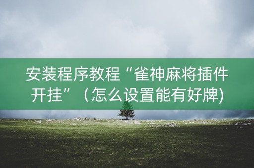 安装程序教程“雀神麻将插件开挂”（怎么设置能有好牌)