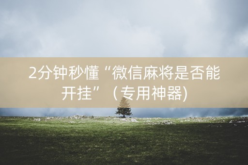2分钟秒懂“微信麻将是否能开挂”（专用神器)