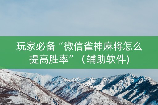 玩家必备“微信雀神麻将怎么提高胜率”（辅助软件)